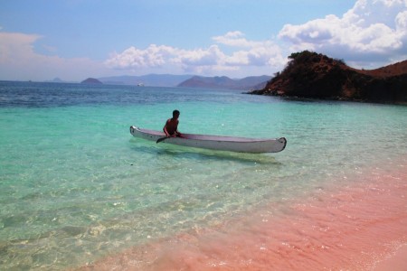 Flying Indonesian