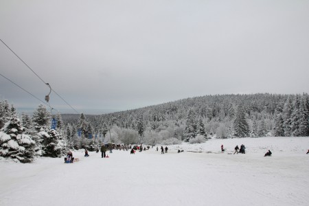 Lovely Snow Bring Joy