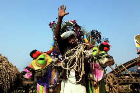 Farmar