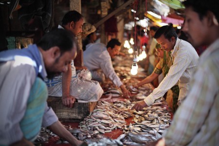 Small Fish Business