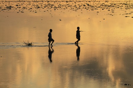 The Golden Boy's