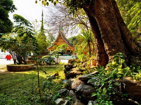 Sanctuary for Happy Soul