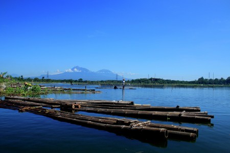 Rowo Jombor