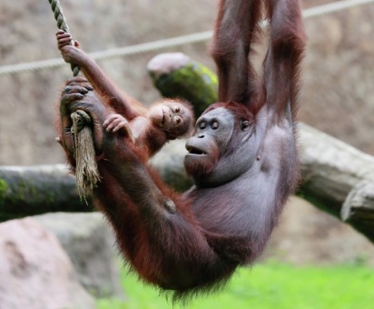 Mother and child intimacy
