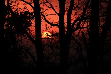SUN LIGHT
