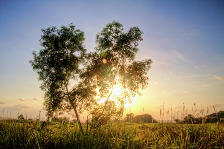 Love Nature