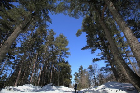 Back To Nature