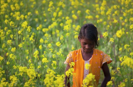 A village girl in mustard field