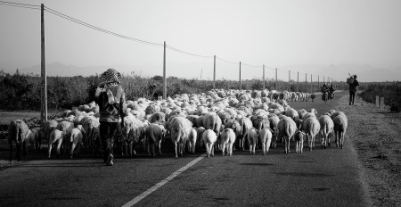 Traffic jam