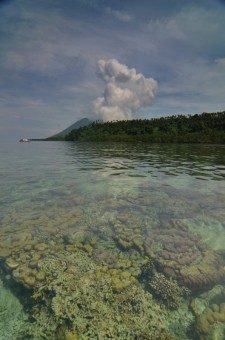 color of Indonesia