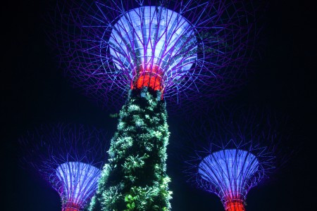The Supertrees