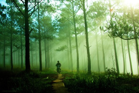 Morning in Dalat, Vietnam