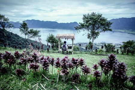 School boy In Sumatera