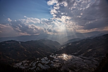 Rays of Light