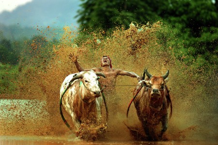 The Best Performace from the best Jockey..
