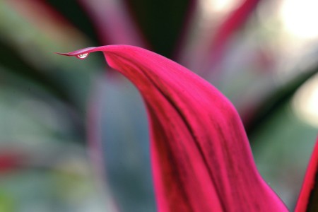 A droplet of Water