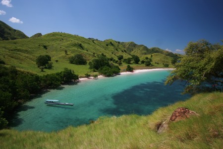 Pink Beach