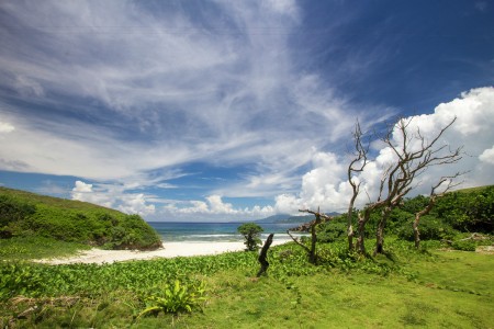 Untouched Paradise