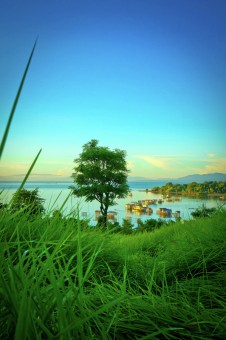 Bukit