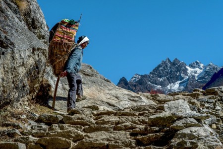 Himalayan Porter