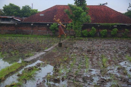 perjuangan tiada lelah