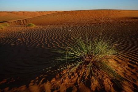 Vastness