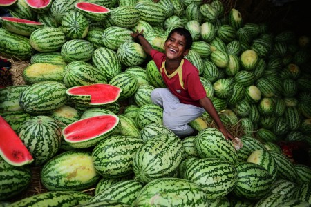 WATERMELON