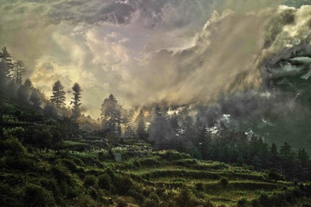 Mighty Nature