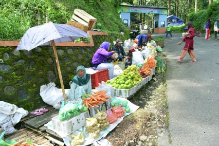 Fresh, come and buy!