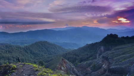 Feel so relaxing at Indonesian Forest