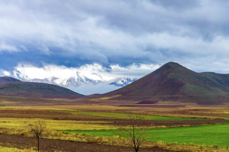 The Artistic Beauty of Nature