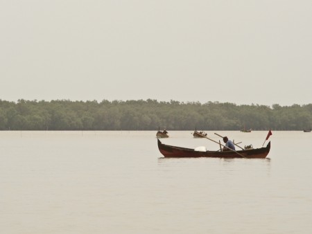 Fisherman From Tanjungpura