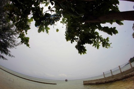 Tenang dan Teduh