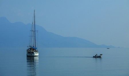 silent morning
