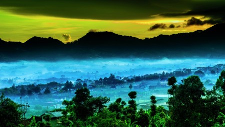 Fog attack at dawn