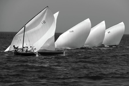 Race of Races