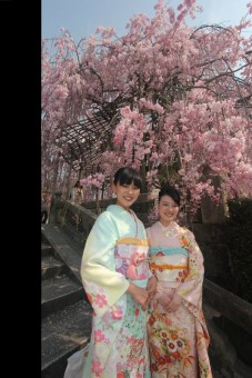 Osaka Kimono