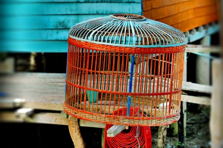 Henhouse