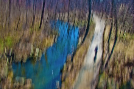 Alone In A Wonderful Nature