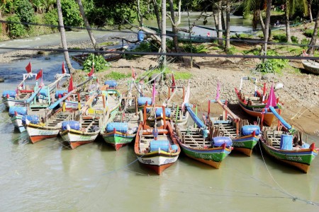 Sandar