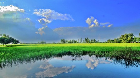 Beautiful Bangladesh.