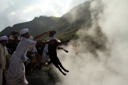 The Sacrifice