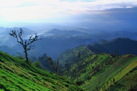 Country side of Mt Semeru, Argosari Village Lumajang East Java