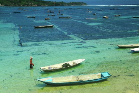 Sea weed farm of Nusa Lembongan, Bali