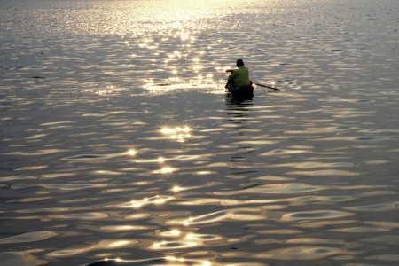 Rowing Dream