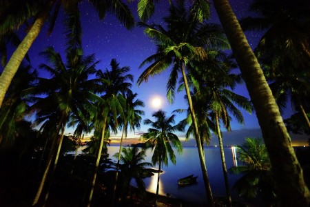 Good Night Borneo