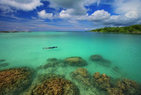 Snorkeling Paradise