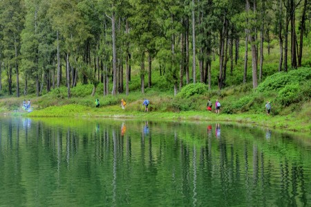 Green Trekking