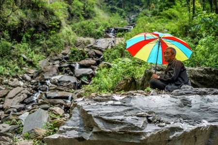 Basking by the Falls