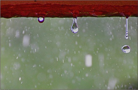 Rain drops